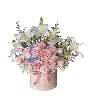 Vibes Roses Lily  - BB01