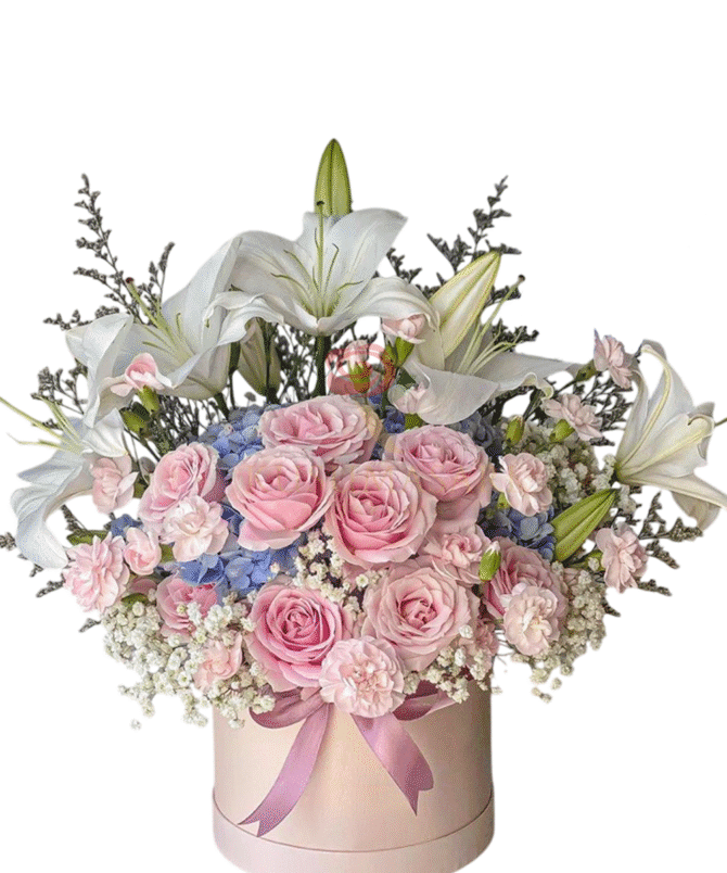 Vibes Roses Lily  - BB01