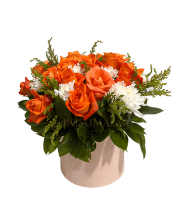 Orange Foxe  - BB04