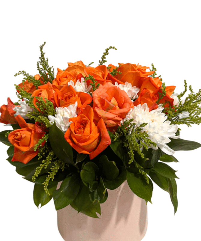 Orange Foxe  - BB04