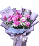 Pinky Carnation - HB02