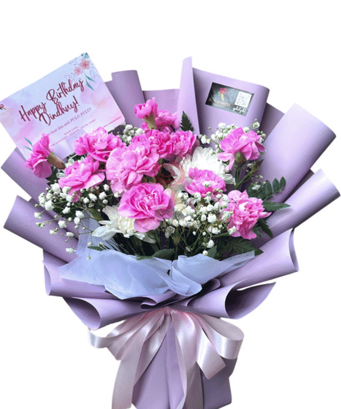 Pinky Carnation - HB02