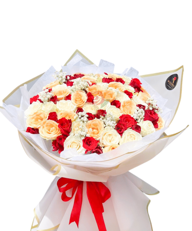 Ariana Roses - HB03
