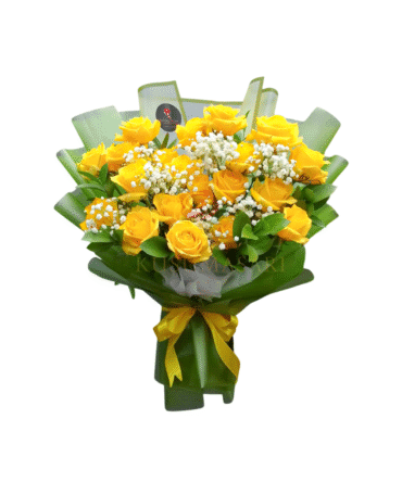Beauty Hana - HB04