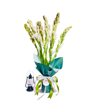 Hampers Al Fitr - MIF03