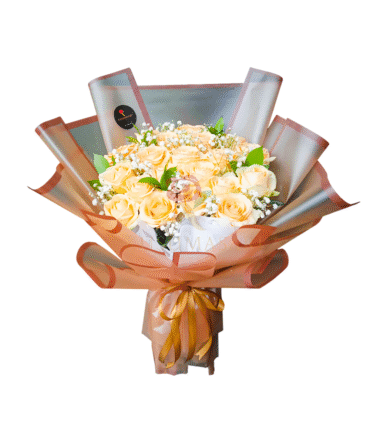 Peach Roses - HB06