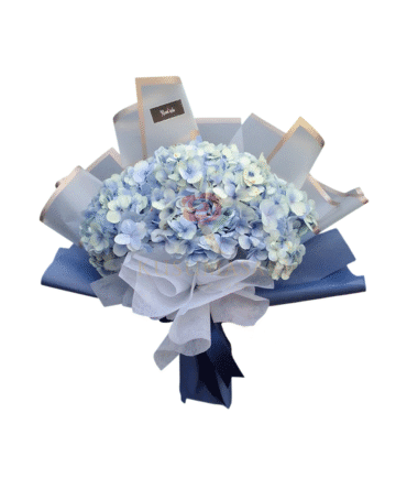Ice Blue - HB07
