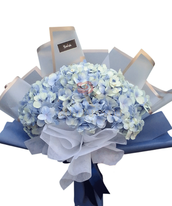 Ice Blue - HB07