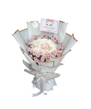 Pretty Aster  - HB14