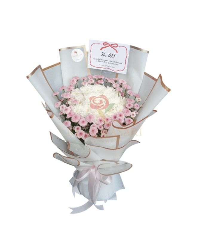 Pretty Aster  - HB14