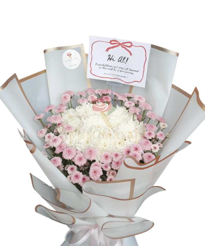 Pretty Aster  - HB14
