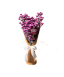 Tiny Pikok Purple - HB17