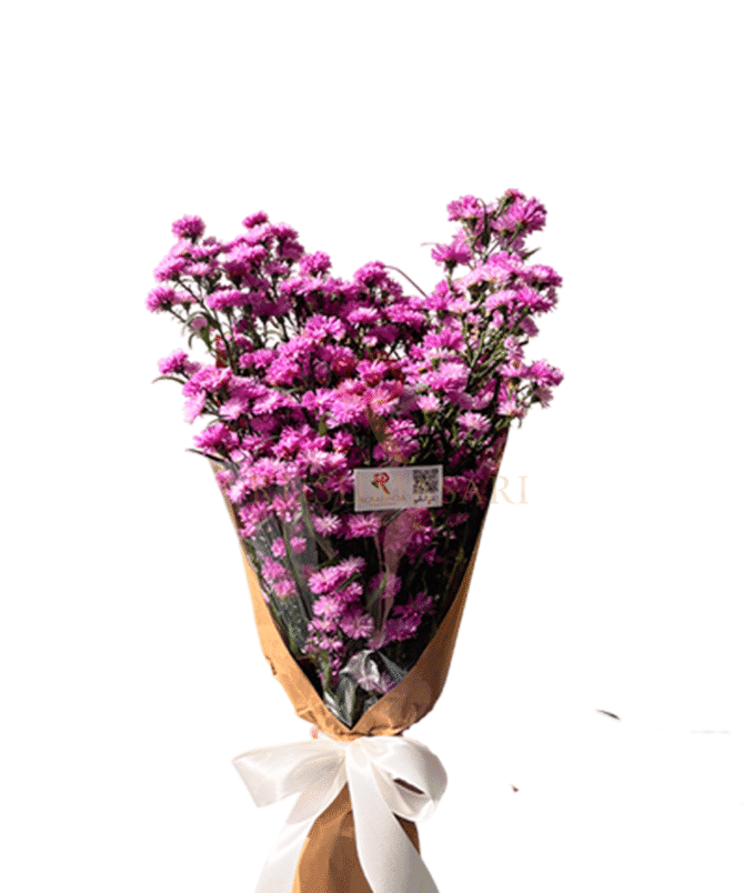 Tiny Pikok Purple - HB17