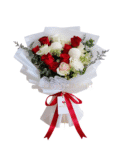 The Romance - HB18