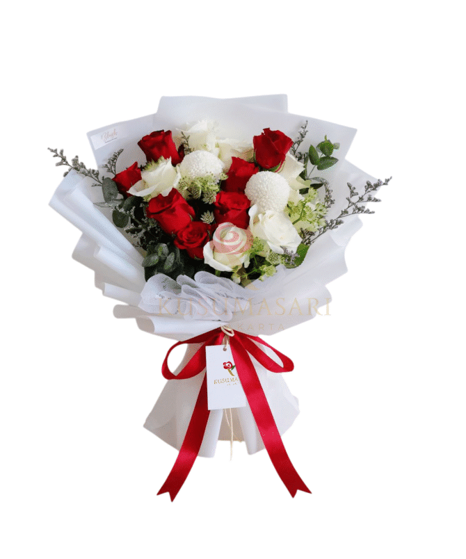 The Romance - HB18