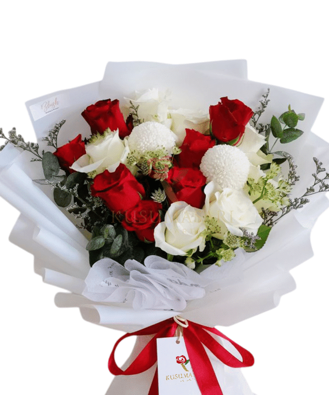 The Romance - HB18