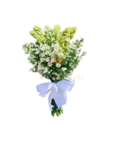 Smells of Love - HB19